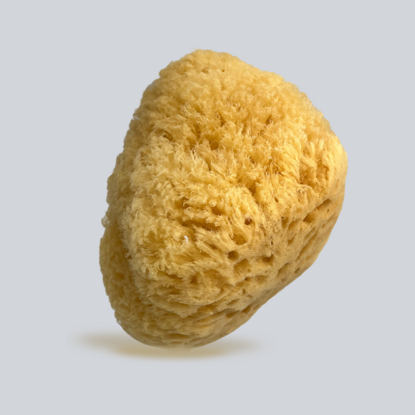 Grass Natural Sea Sponge