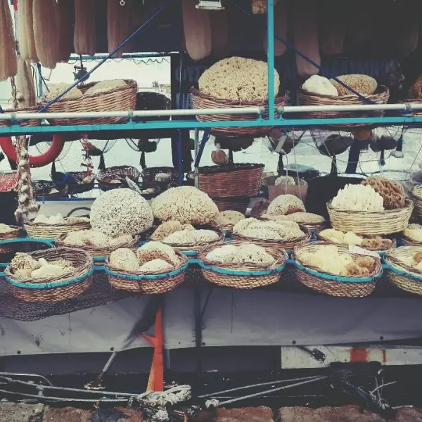 Natural-sea-sponges